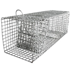 Trampa Cebadero Ratonera Para Ratones Reusable,12pzs Ecotrap